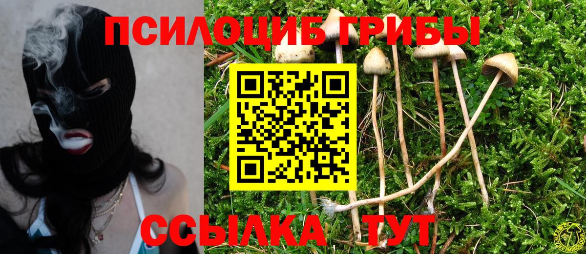 Галлюциногенные грибы MAGIC MUSHROOMS Фурманов